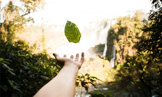 Coljuegos en cumplimiento de la Circular No. 20260000046 del 10 de abril de 2026 -D&iacute;a c&iacute;vico de la paz con la naturaleza-